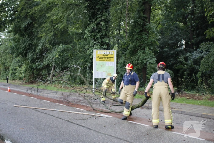 Takken afgebroken van boom door windvlaag