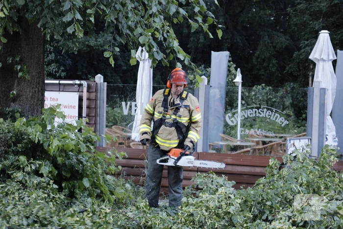 Takken afgebroken van boom door windvlaag