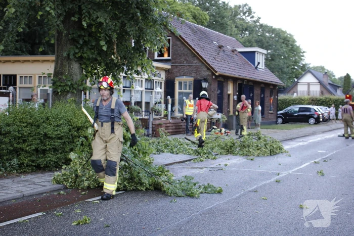 Takken afgebroken van boom door windvlaag