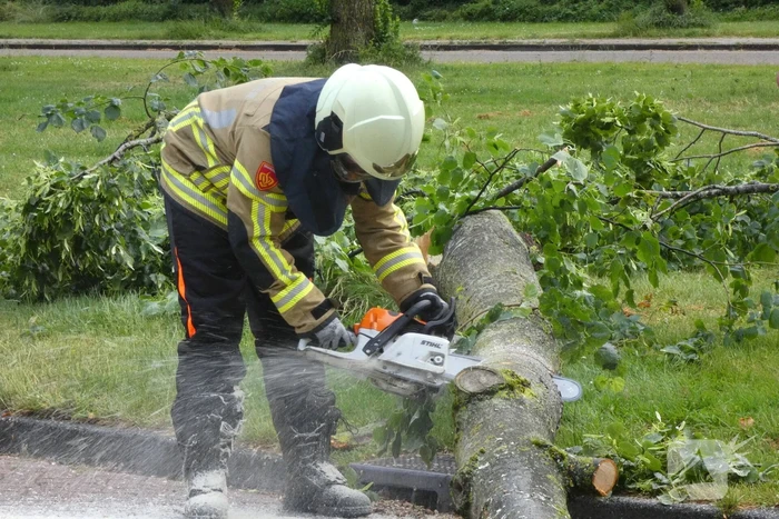 natuur orkestlaan kampen