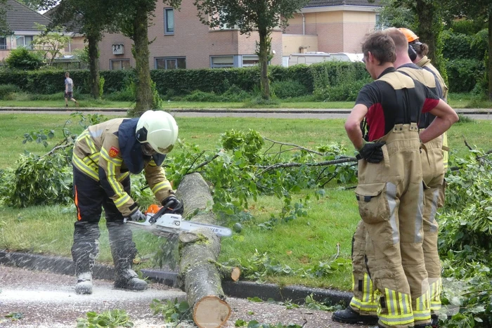 Brandweer zaagt omgevallen boom in stukken