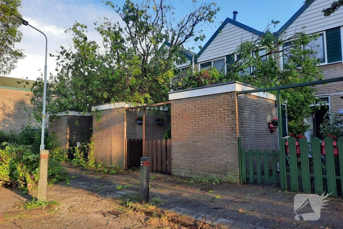 Boom valt op drie woningen door windvlaag