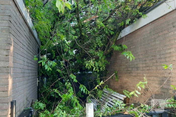 Boom valt op drie woningen door windvlaag