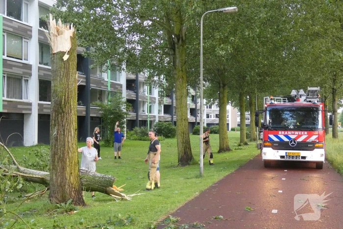 natuur visseringstraat kampen