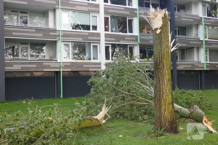Boom valt om naast appartementencomplex