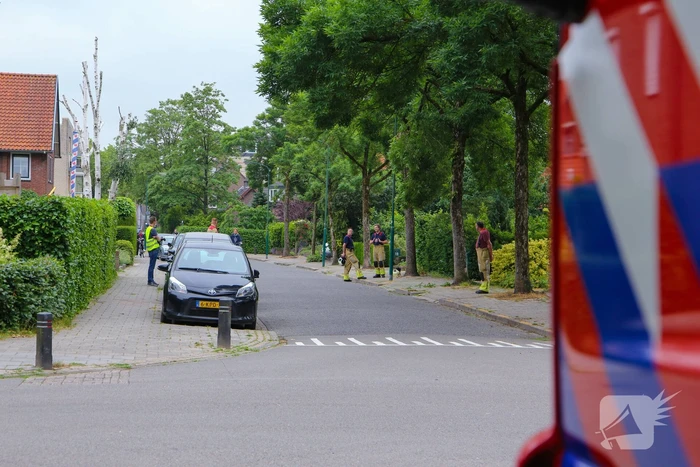 Brandweer verwijdert loshangende tak van boom