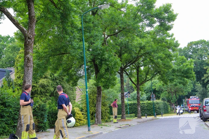 Brandweer verwijdert loshangende tak van boom