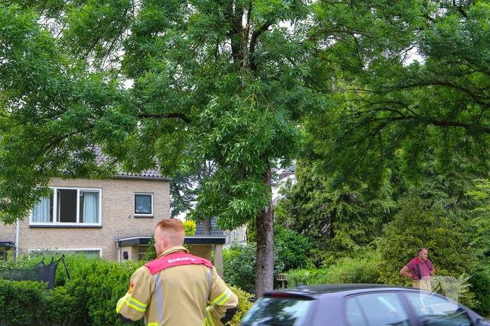 Brandweer verwijdert loshangende tak van boom