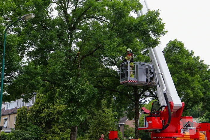 Brandweer verwijdert loshangende tak van boom