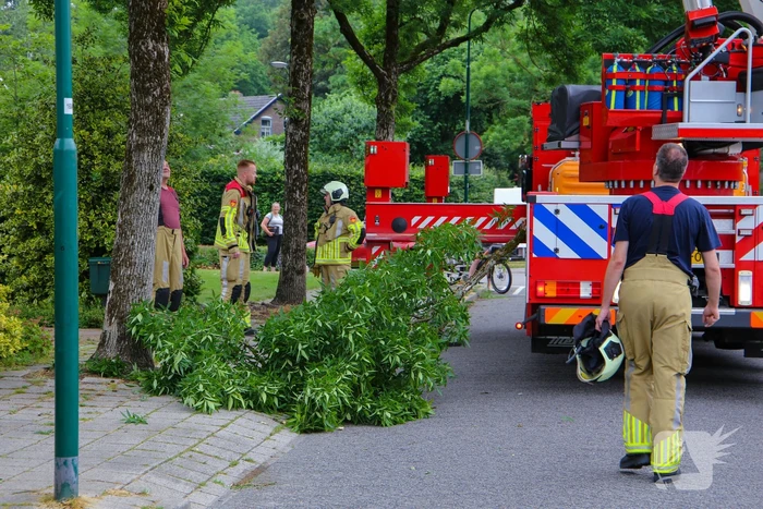 Brandweer verwijdert loshangende tak van boom