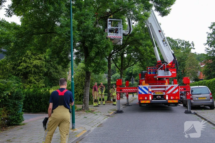 Brandweer verwijdert loshangende tak van boom