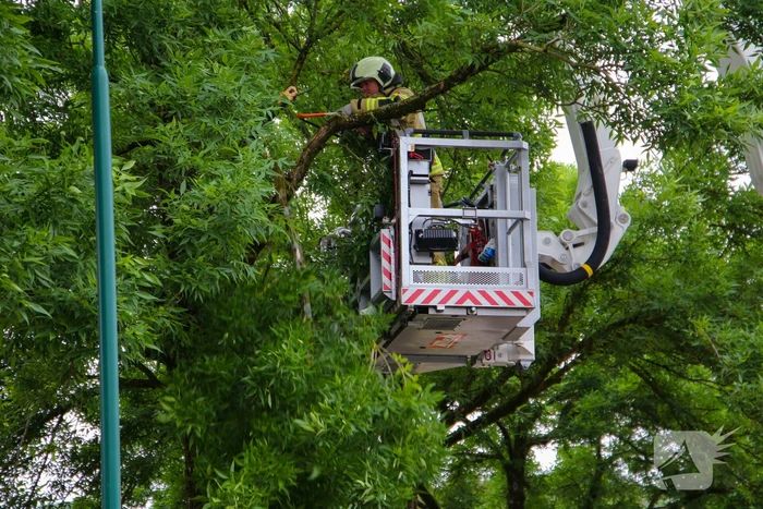 Brandweer verwijdert loshangende tak van boom