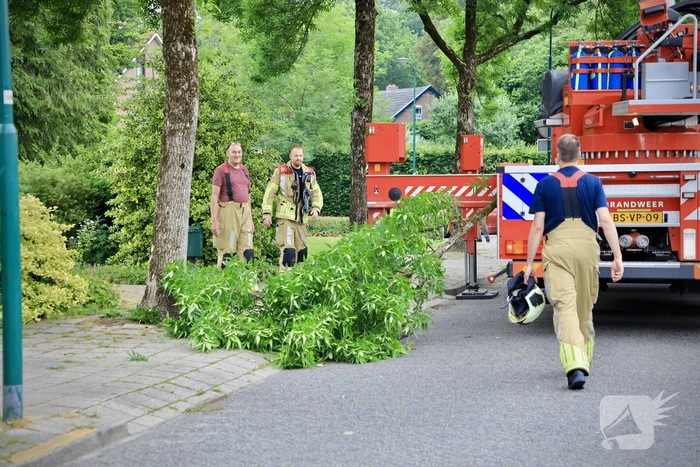 Brandweer verwijdert loshangende tak van boom