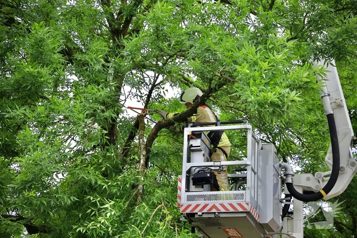 Brandweer verwijdert loshangende tak van boom