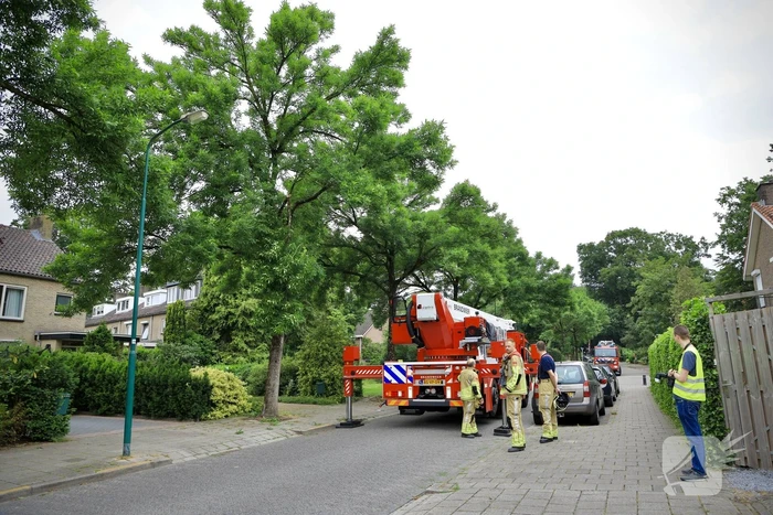 Brandweer verwijdert loshangende tak van boom