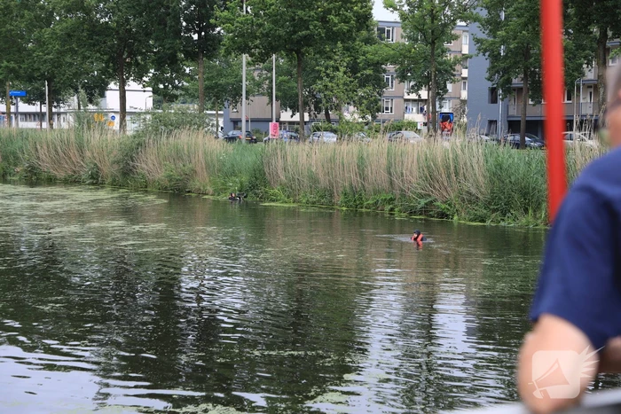 Brandweer haalt zwaantjes uit kanaal