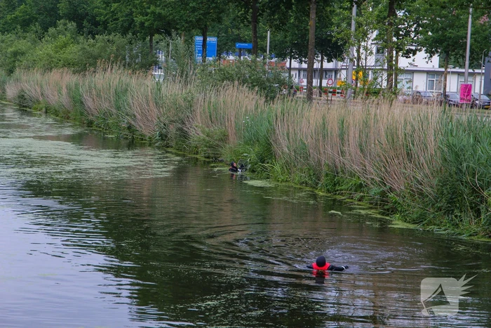 Brandweer haalt zwaantjes uit kanaal