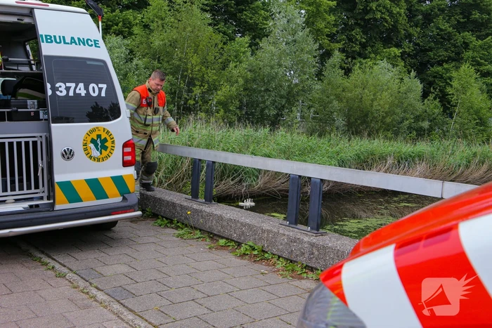 Brandweer haalt zwaantjes uit kanaal