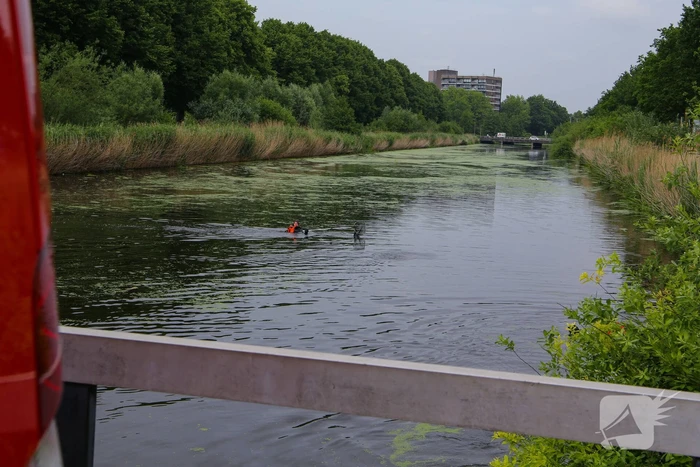 Brandweer haalt zwaantjes uit kanaal