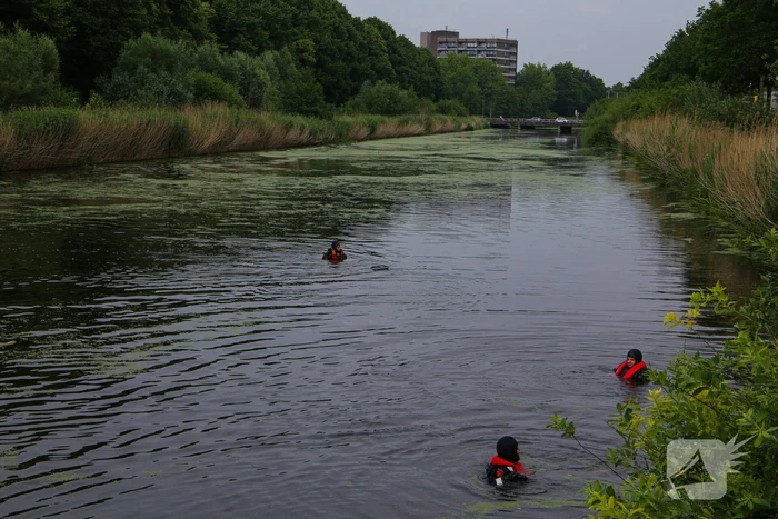 Brandweer haalt zwaantjes uit kanaal