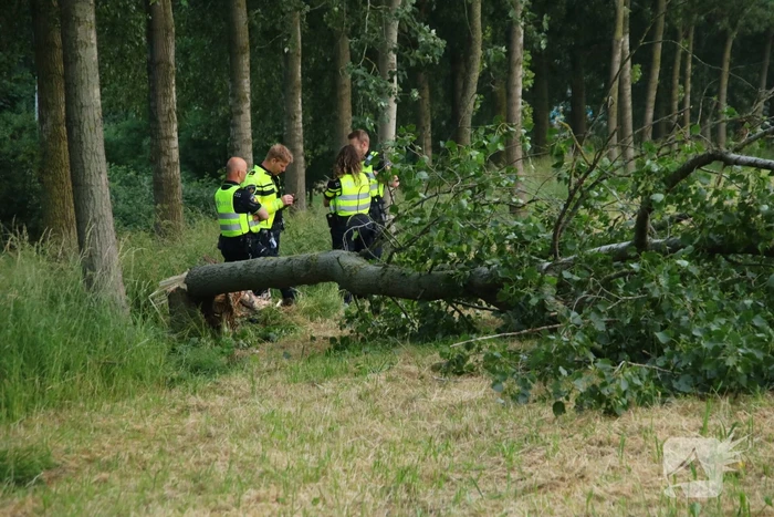 Twee gewonden bij ongeval op snelweg