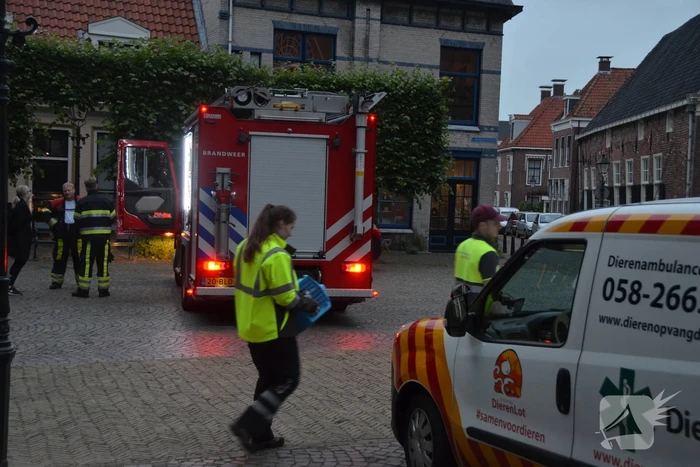 Katten gered bij woningbrand