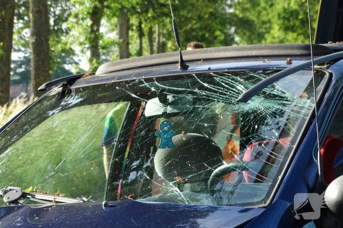 Vier gewonden na botsing tegen boom
