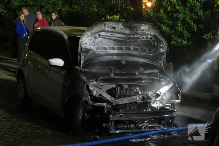 Twee auto's door brand verwoest