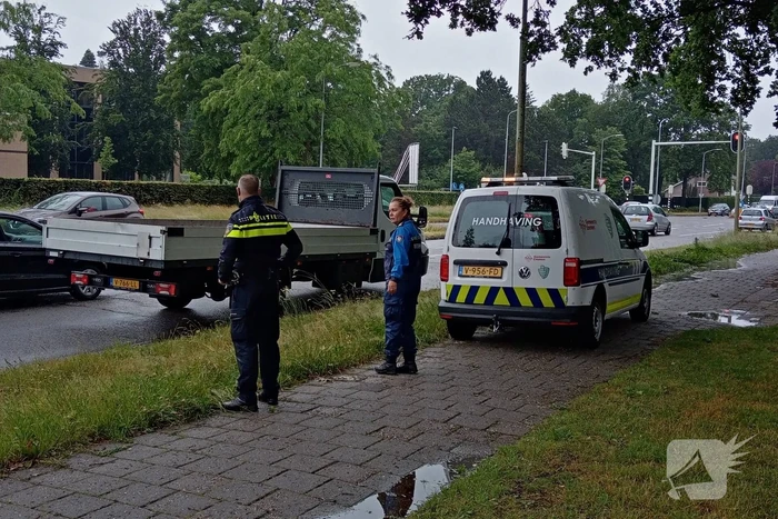 Pick-up botst tegen lantarenpaal