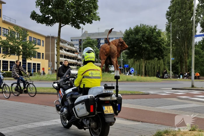 Oranjefans vieren opnieuw feest na derde EK zege