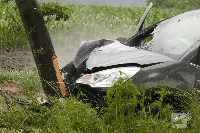 Auto vliegt in brand na botsing tegen boom