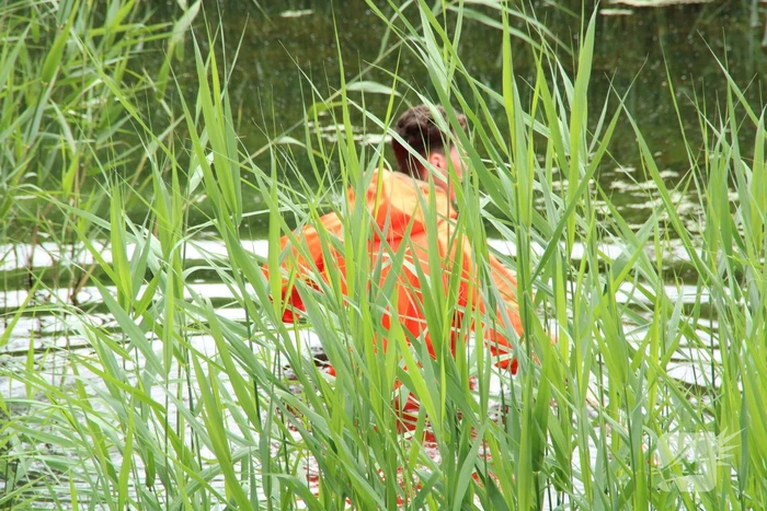 Reddingsactie brandweer voor baby-eendjes