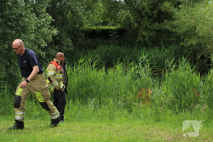 Reddingsactie brandweer voor baby-eendjes