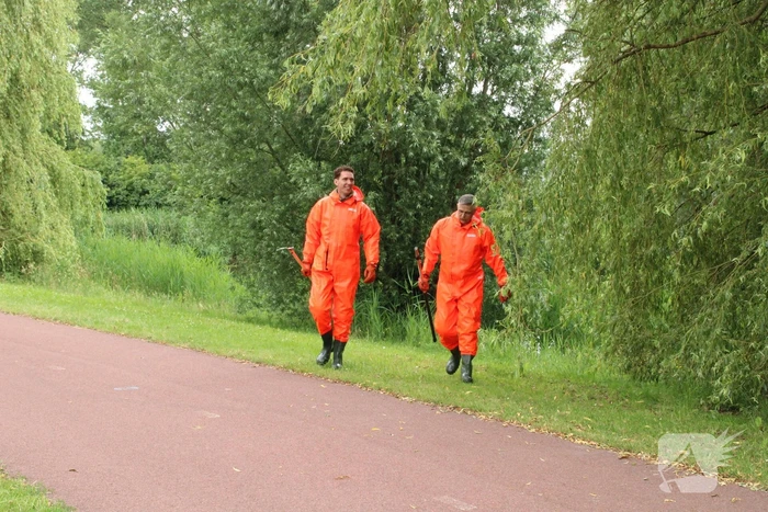 Reddingsactie brandweer voor baby-eendjes