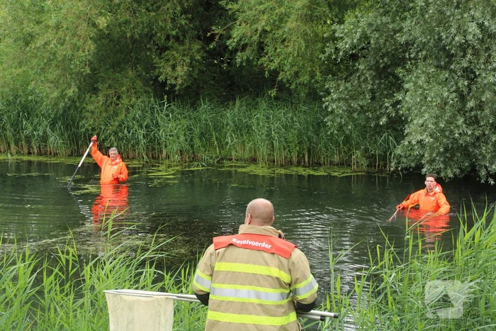 Reddingsactie brandweer voor baby-eendjes
