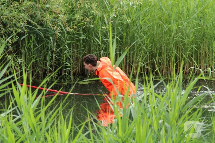 Reddingsactie brandweer voor baby-eendjes