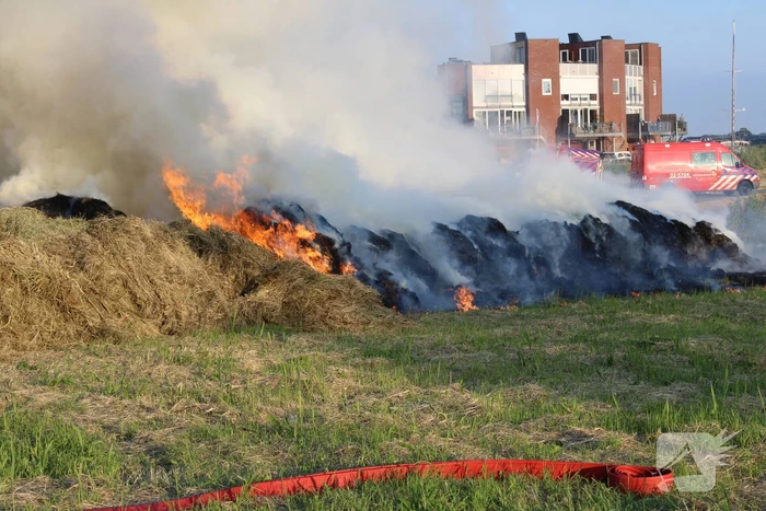 Veel rook bij brand in berg gras