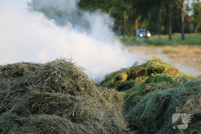 Veel rook bij brand in berg gras