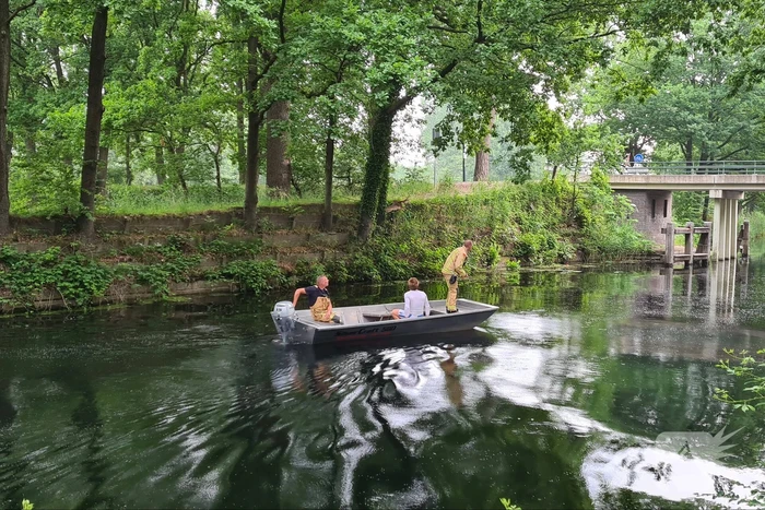 Brandweer bevrijdt vastzittende uil uit benarde positie