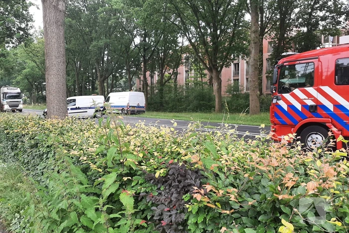 Schade bij kop-staartbotsing