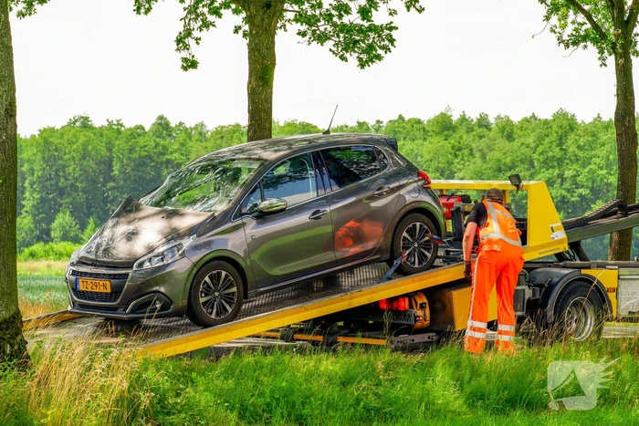 Auto slaat over de kop en belandt in weiland