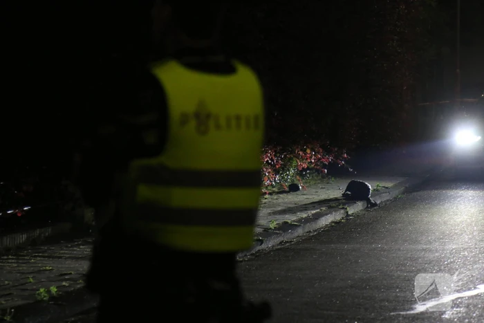 Politie doet onderzoek naar steekpartij