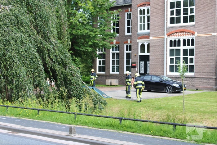 Grote tak treurwilg afgebroken