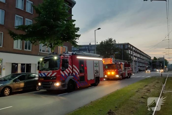 Twee duiven zitten vast in gaas