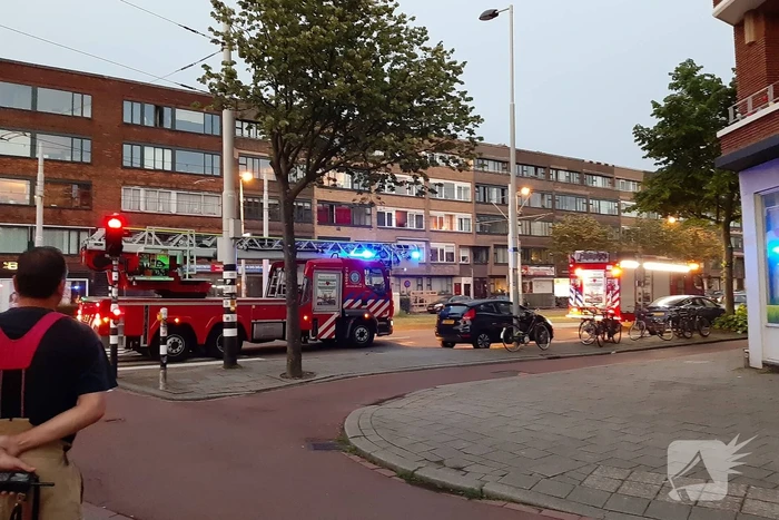 Twee duiven zitten vast in gaas