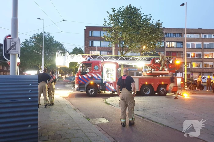 Twee duiven zitten vast in gaas