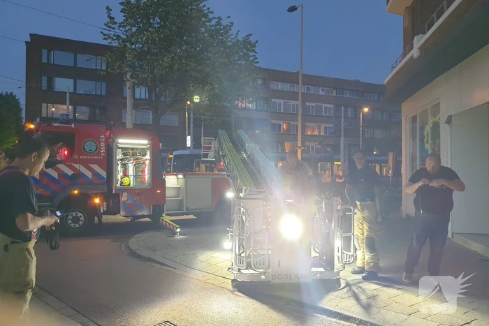 Twee duiven zitten vast in gaas