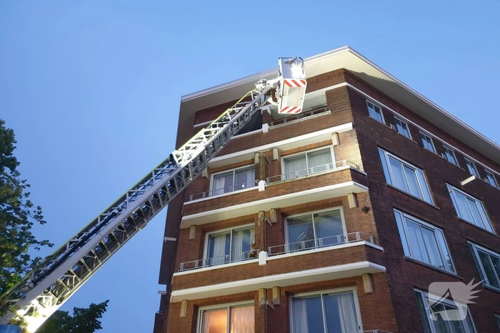 Twee duiven zitten vast in gaas