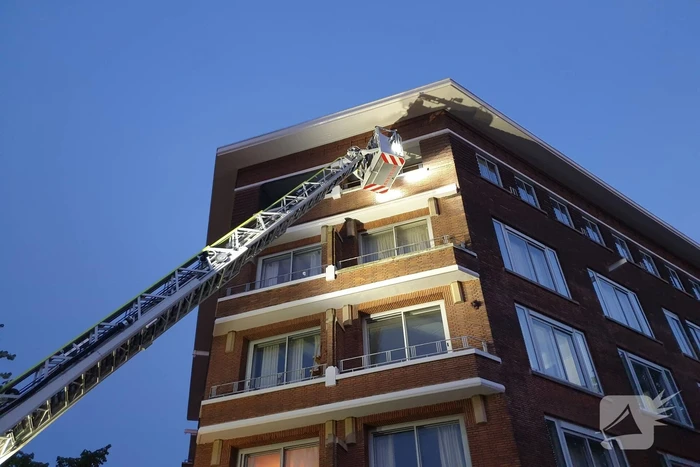 Twee duiven zitten vast in gaas