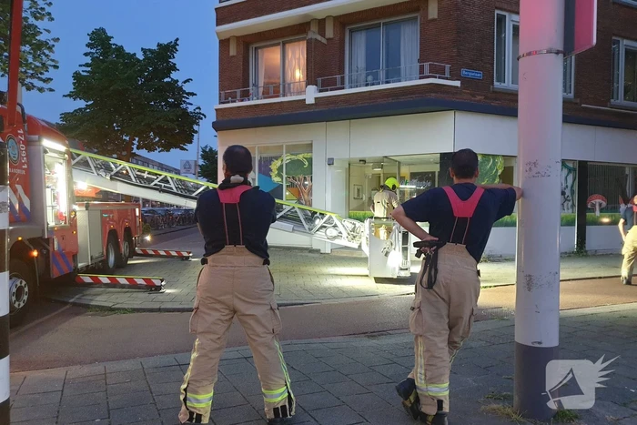 Twee duiven zitten vast in gaas